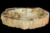 Colorful Polished Petrified Wood Dish - Madagascar #142805-1